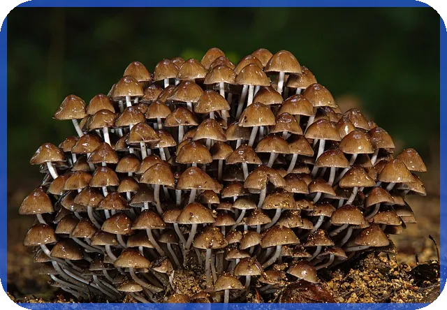 대유플러스주가 변화와 전망 분석