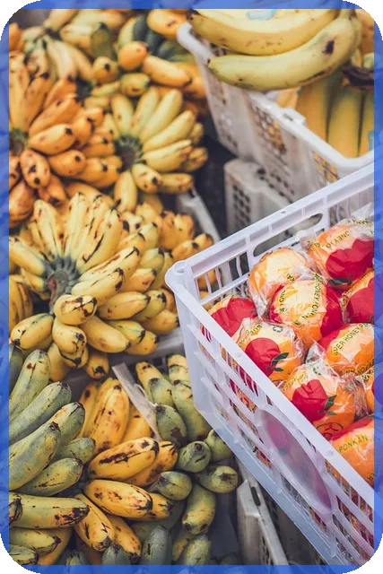 대유플러스주가 변화와 전망 분석