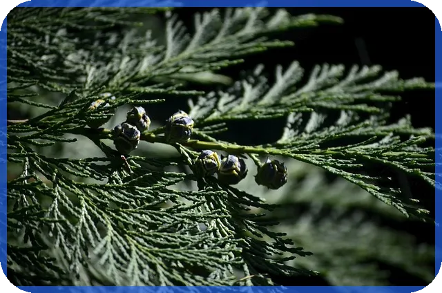 대유플러스주가 변화와 전망 분석