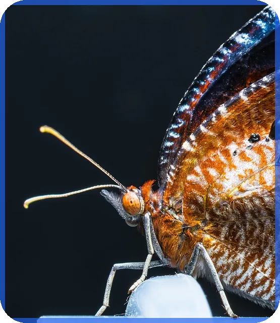 대출받으면 신용등급 하락이 걱정된다면 바로 알기