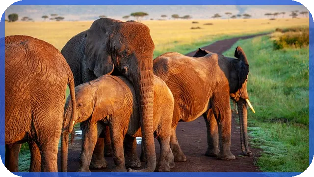 대출받으면 신용등급 하락이 걱정된다면 바로 알기