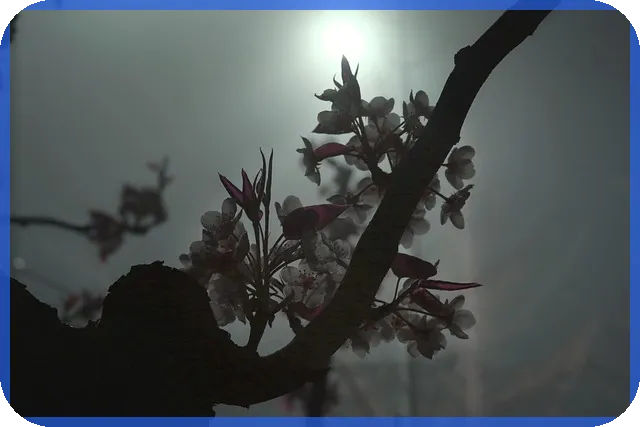 대출비교로 최적 조건 찾기 비법 공개