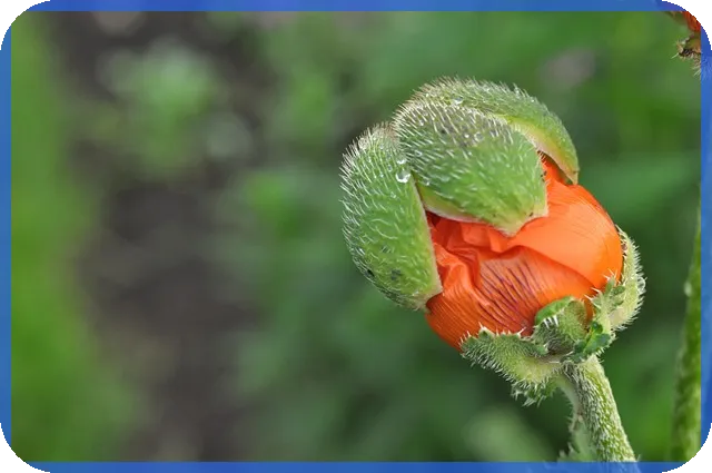 대출카페대부중개 통해 돈벌이 성공 가능할까