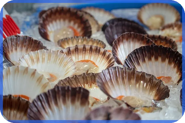 비트코인 1억원 시대 디센트지갑 활용 전략