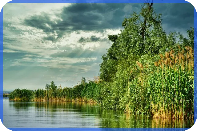 비트코인 1억원 시대 디센트지갑 활용 전략