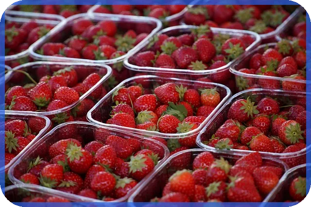 리드정리매매 특징과 주의사항 한눈에 파악하기