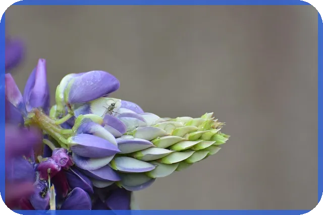 메타마스크 제대로 활용하는 방법과 미래 전망