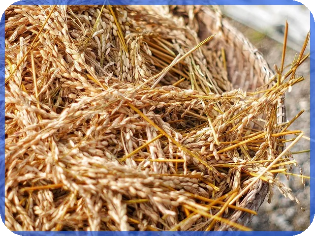 메타마스크 제대로 활용하는 방법과 미래 전망