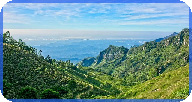 미국상속세 180억 이하 부과없어 이 면제 혜택은 무엇일까