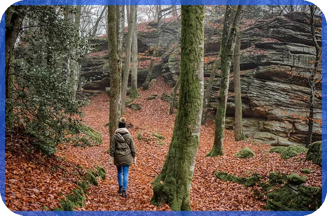 부산주택매매 도심 전원주택 꿈의 선택