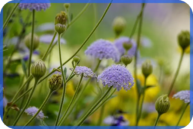 부산주택매매 도심 전원주택 꿈의 선택