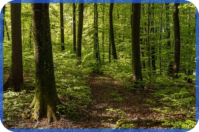 부산주택매매 도심 전원주택 꿈의 선택