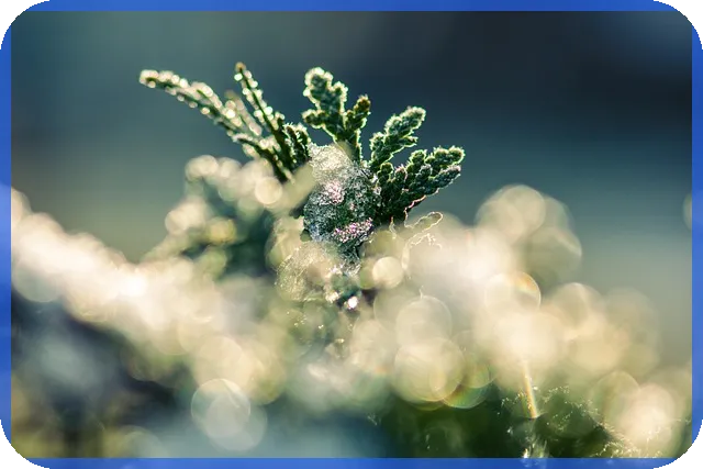 소득공제형채권 투자로 세테크 하나 쉽게 시작하기