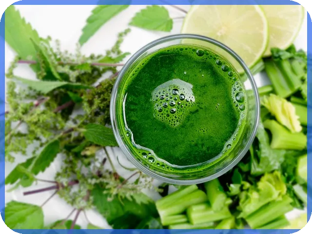 신생아 특례대출 신청 후 이사 시 유의사항 알아보기