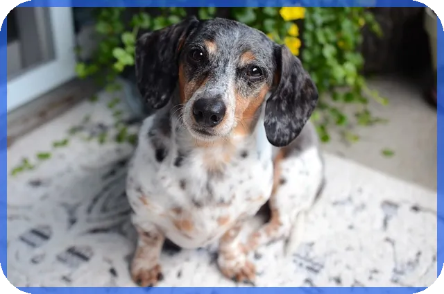 신생아특례대출 5년 최저금리와 신청방법 총정리