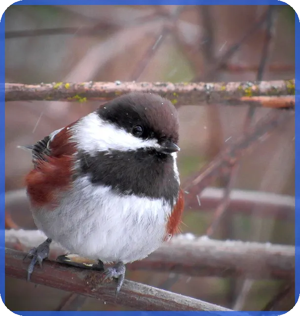 신생아특례대출 5억조건과 대환금리 총정리