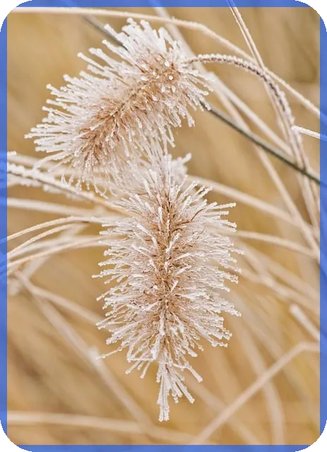 신혼부부전세자금대출이율 저금리로 받는 방법 확인하기