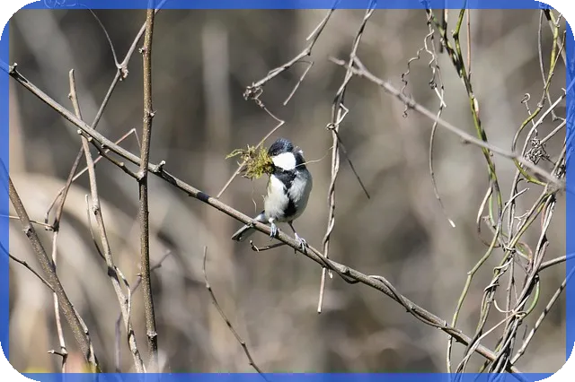 신혼부부전세자금대출이율 저금리로 받는 방법 확인하기