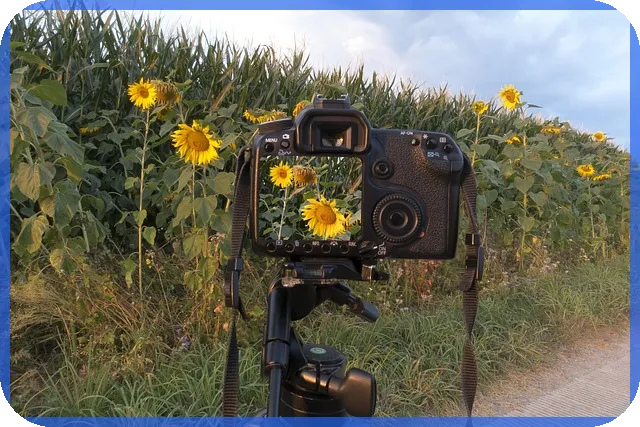 우영우관련주 투자전략 핵심 가이드
