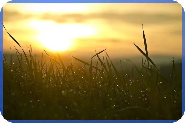 우영우관련주 투자전략 핵심 가이드