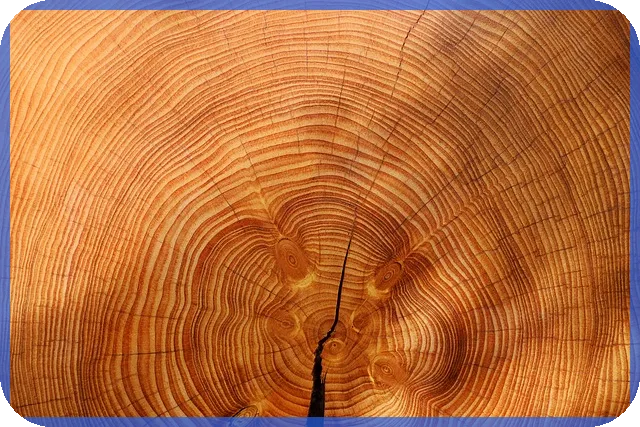 우영우관련주 투자전략 핵심 가이드