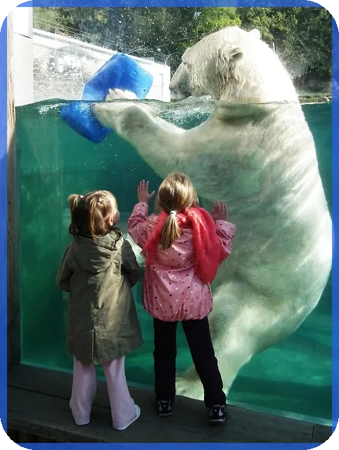 전세대출 비교로 최적 금리와 조건 찾기