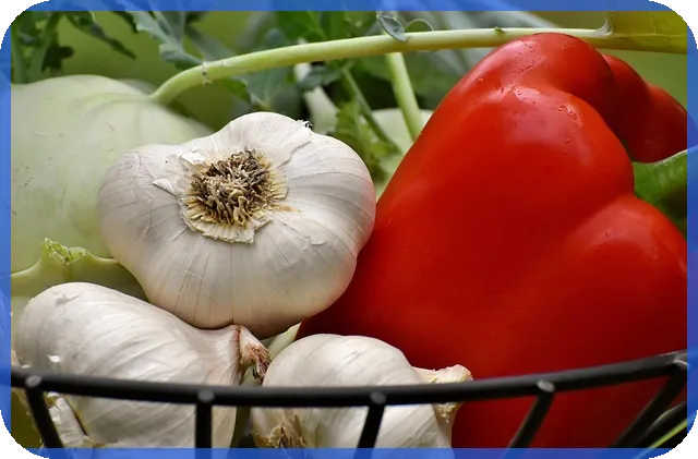 전세대출 비교로 최적 금리와 조건 찾기