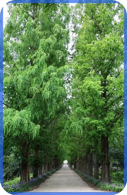 정부지원대출1억 선택 방법과 혜택 완전 정리