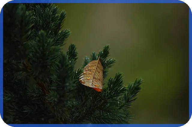 제주호반써밋 아파트 43평형 매력 분석과 투자 전략
