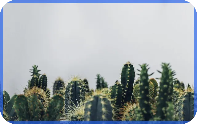 제주호반써밋 아파트 43평형 매력 분석과 투자 전략