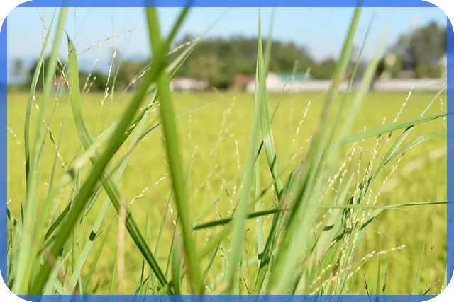 프롭테크 미래 전략과 글로벌시장 성장 전망