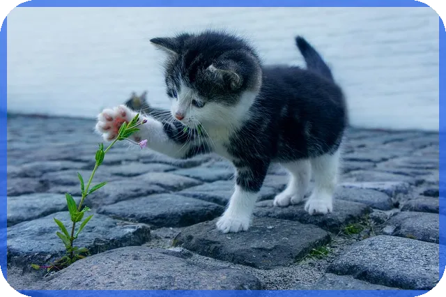 돈안갚을때신고로 미수금 확실하게 받는 법