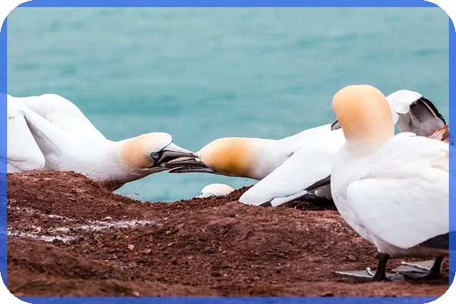 돈안갚을때신고로 미수금 확실하게 받는 법