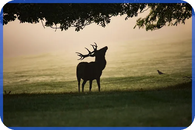 돈안갚을때신고로 미수금 확실하게 받는 법