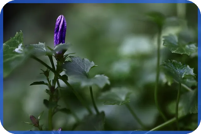 디딤돌 대출 조기상환수수료를 줄이는 법은?