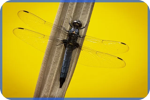 사업자 대출 폐업 시 반드시 알아야 할 핵심 전략