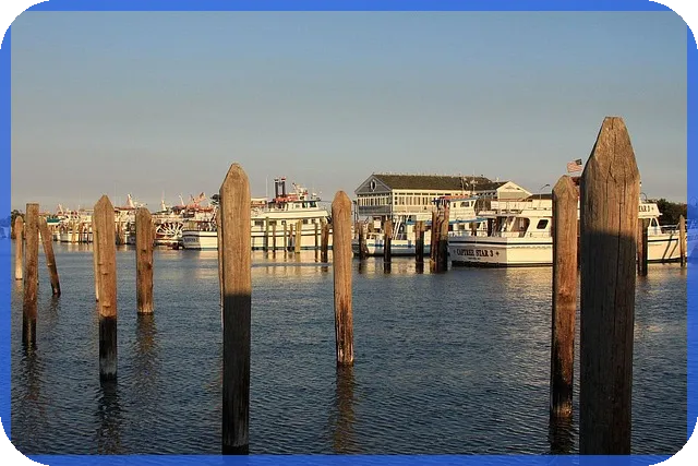 신생아 특례 대출 조건 면적 및 혜택은?