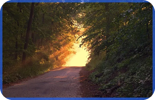 신생아 특례대출 조건 미혼모 꼭 알아둬야 할 점은?