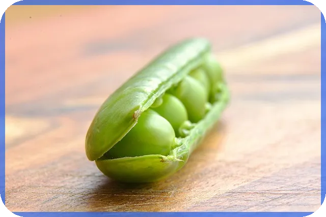 주말긴급대출로 빠른 금전 해결법 찾기