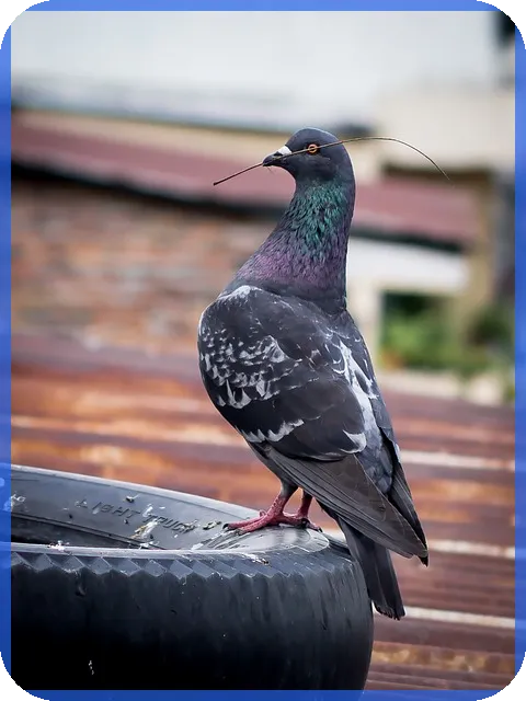 카카오뱅크 주택담보 대환대출 비교로 저금리전환 가능할까