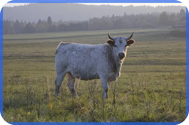 AIETF 투자 전략과 전망 가이드