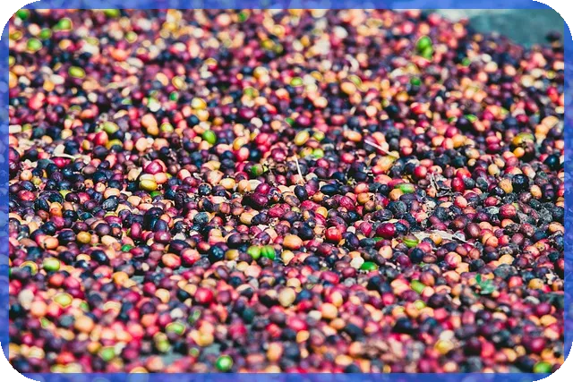 금융공기업NCS 한국거래소 자기소개서 사회이슈 문항 전략