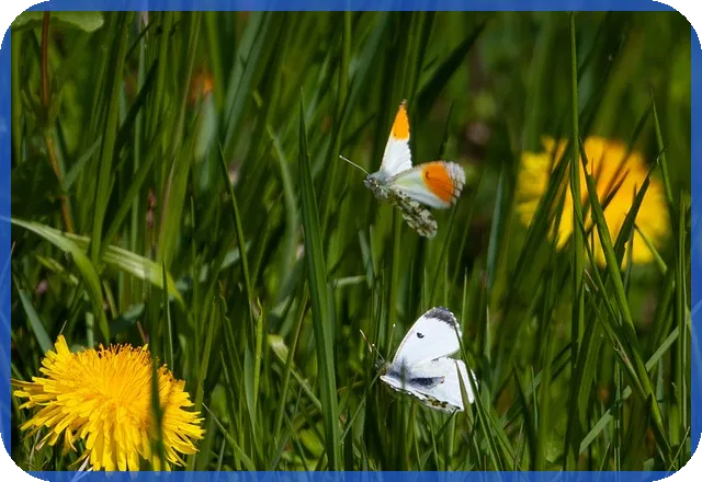 금융공기업NCS 한국거래소 자기소개서 사회이슈 문항 전략