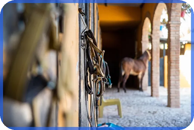 동원저축은행 정기적금 금리와 혜택의 모든 것
