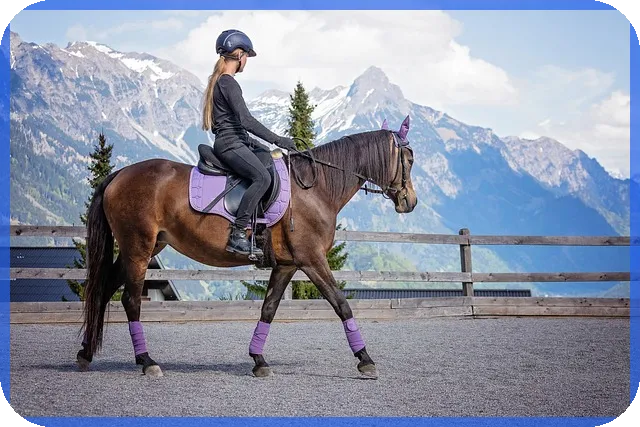 보험금대출 실수와 성공 전략 모두 알려드립니다