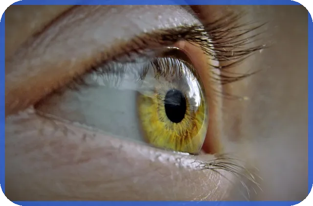 삼성반도체주가 상승세와 투자 전략 분석