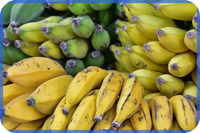 주식시간외거래시간 이해하기 핵심 정리