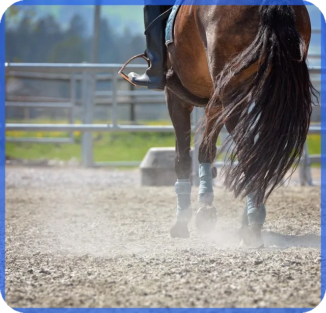 중고차구매사이트 활용 전략과 주의점