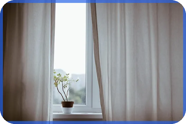 중고차구매사이트 활용 전략과 주의점