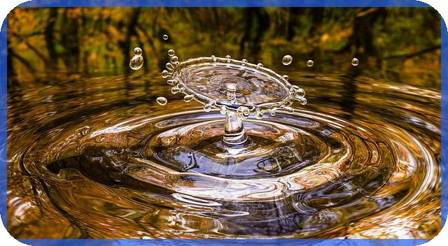 근로소득계산으로 세금 절약하는 방법 알아보기